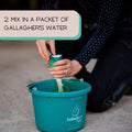 Gallagher's Water 12 Pack All-Natural Equine Hydration Treat - Enhancement Powder Mix Horse Drink Treat to Help Encourag