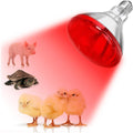DaToo Infrared Heat Lamp Bulb for Chickens Red Heat Lamp Flood Light Heat Lamp Bulb 150 W Heating Bulbs for Brooder Coop