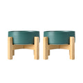 SPUNKYJUNKY Ceramic Elevated Dog Bowls 2 Pack - 6.1inch Raised Dog Bowls with Non-Slip Wooden Stand for Medium Dogs Dishwasher Safe(Green,28.7OZ*2)