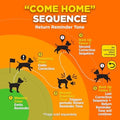 Dogtra GPS Dog Fence X2 & Training Flags Bundle | No Subscription, Wireless Custom Fence with App, Neon Orange Markers, 