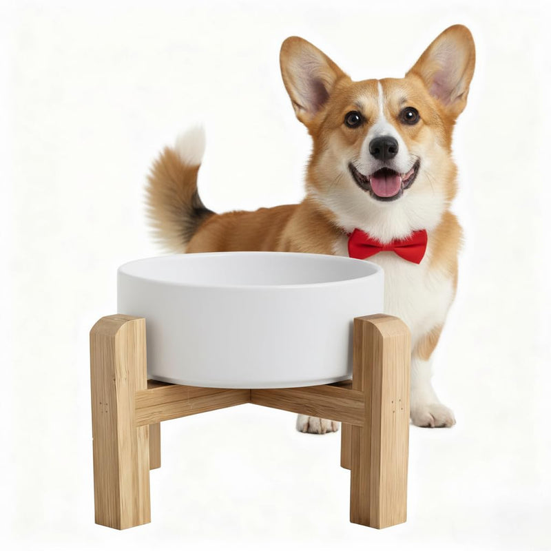 Elevated/Raised Ceramic Dog Bowl with Bamboo Stand，6 Inch 3.6 Cups Non Slip Heavy Weighted Single Pet Dish, for Small Medium Breed & Cats,Reduces Neck Strain White