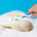 NOLITOY 2Pcs Turtle Shell Cleaning Brush Double-Sided Plastic Scrubbers with Ergonomic Grip for Turtle Care Aquarium Use