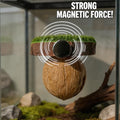 Handmade Natural Walnut Shell Jumping Spider Hide - Magnetic Spider Enclosure Accessories with Sturdy Neodymium Magnets,