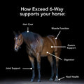 MVP Exceed 6-Way High Level Performance Horse Support Pellets. Joint, Hoof, Hair, Gastric, Digestion and Muscle Support.