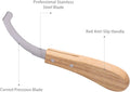 Bot Egg Knife for Horses, Precision Grooming for Bot Egg Removal Stainless Steel Blade with Wooden Handle Horse Equine T