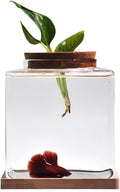 Desktop Betta Fish Bowl Glass with Wood Lid and Bamboo Stand Small Fish Bowl Hydroponic Plant Terrarium Aquarium Starter