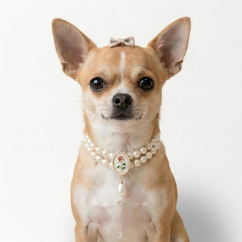 MITOCAPY Dog Collar,Handmade Cat Necklace Jewelry for Small Dogs Puppy - Bling Cat Wedding Collar - Chihuahua Yorkie Girl Clothes Costume Outfits Accessories