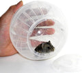 Hamster Exercise Ball Silent Hamster Wheel Small Animals Transparent Ball for Dwar Rat Relieves Boredom and Increases Ac