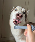 Joyinjojo 2 Pack Dog Cat Food Spoon Spatula, Cute Paw Pet Can Opener Mixing Spoons for Dog Cat Wet Food, Small Silicone Spatula Cat Treat Spoon Pet Cannd Food Scoop for Dog Cat, Grey