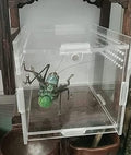 AWXZOM Magnetic Acrylic Case, micro habitat small Tarantula Enclosure enclosure for arboreal Tarantula Scorpion Sling Li