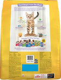 Purina Kitten Chow Year One Essentials with Real Chicken High-Protein Complete and Balanced Dry Kitten Food with Essenti