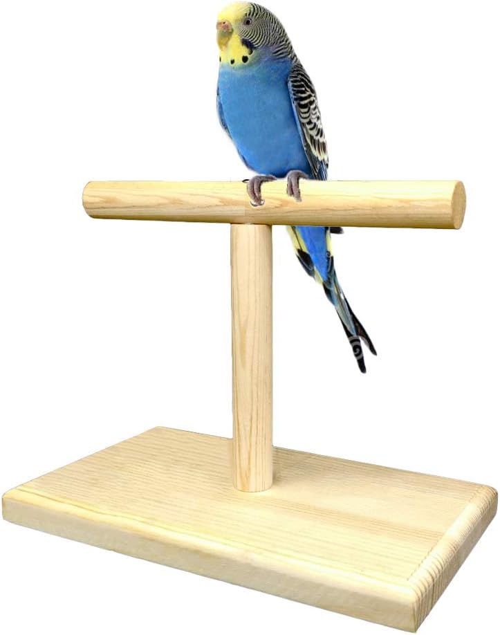 LINSHRY Bird Training Stand, Portable Tabletop Bird Perch Spin Training Perch for Parakeets Conures Lovebirds or Cockati