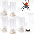 5 Pcs Jumping Spider Ant Water Feeder Bee Plastic Water Feeding Tarantula Water Bowl Spider Feeder (Capacity: 20ml)