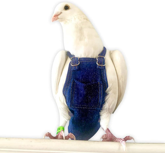 Bev's Bird Boutique Regular Flyper Adjustable Bird Diaper | Reusable, Washable Cloth | Comfort Fit for Parrot, Cockatiel