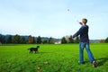 Chuckit! Pro 26XL Dog Ball Launcher, 26" Length, XL (3.5" Ball) For Dogs Over 100 Pounds