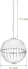 Rabbit Hay Ball Stainless Steel Hanging Feed Dispenser for Bunny Hamster Guinea Pig Rat Chinchilla (A: 5.11inch, Silver)