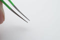 Tick Removal Kit, Precision Stainless Steel Tools, Carry Case, Tick ID Card, Removes All Tick Species and Sizes. Dog, De