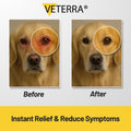 Pet Eye Drops , Cat Eye Drop | Pet Eye Health Formula - Treats & Prevents Eye Diseases in Dogs & Cats (Conjunctivitis, T