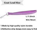 Goat Lead and Goat Collars Set Small Farm Animal Goat Sheep (Blue)