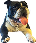 Initial Letter Cuban Chain Dog Chain Pet Chain Pet, Cat, Puppy Necklace (B, 24")