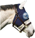 Equine-Medi Lens Horse Eye Protection Hood, Shatterproof, Flexible Lens for Corneal Ulcers, & Eye Injuries, Compatible w