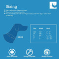 RC Pets Clip Collar | Adjustable, Durable, Comfortable & Fashionable (XS, Clay Floral)