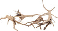 emours Natural Spider Wood Driftwood Vine Branches Reptiles Aquarium Decoration Assorted Sizes,Small,4 Pieces
