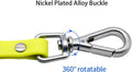 Waterproof Long Dog Leash Recall Training Lead 5 10 16 30 50 Foot for Large Medium Small Dogs Outdoor Training Walking P