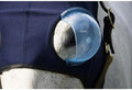 Equine-Medi Lens Horse Eye Protection Hood, Shatterproof, Flexible Lens for Corneal Ulcers, & Eye Injuries, Compatible w
