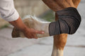 Elastic Compression Bandage Wrap for Horses, Adjustable Equine Leg Support, Breathable Stretch Wrap for Tendon, Ankle, H