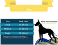 Martingale Collar for Dogs Choke Dog Choker Collars, Purple M