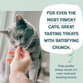 Shameless Pets Crunchy Cat Snacks & Treats – Healthy Cat Treats for Indoor Cats & Kittens with Catnip, Real Chicken & Digestive Support, Catnip N Chill (2.5 oz)