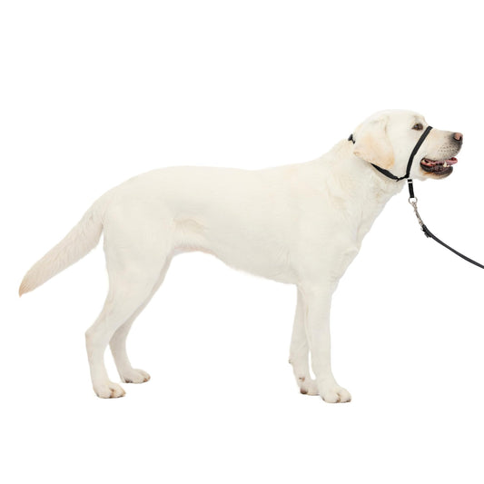 PetSafe Gentle Leader No-Pull Dog Headcollar - The Ultimate Solution to Pulling - Redirects Your Dog's Pulling for Easier Walks - Helps You Regain Control - Large, Black