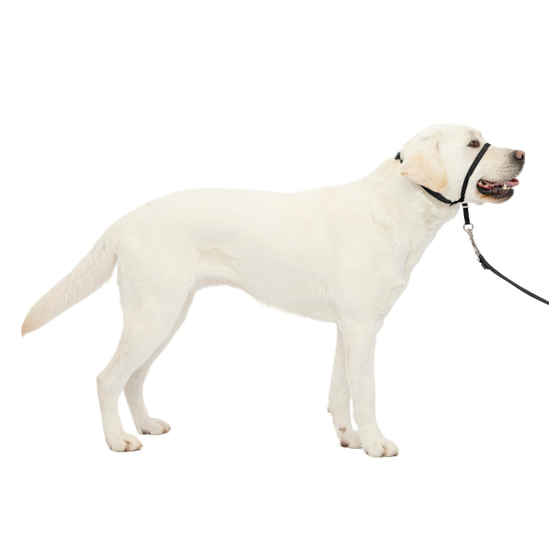 PetSafe Gentle Leader No-Pull Dog Headcollar - The Ultimate Solution to Pulling - Redirects Your Dog's Pulling for Easier Walks - Helps You Regain Control - Large, Black