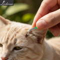 Tick Removal Tool Kit - Stainless Steel Tweezer & Tick Remover for Humans, Dogs, Cats & Other Pets- Dog Tick Remover Too