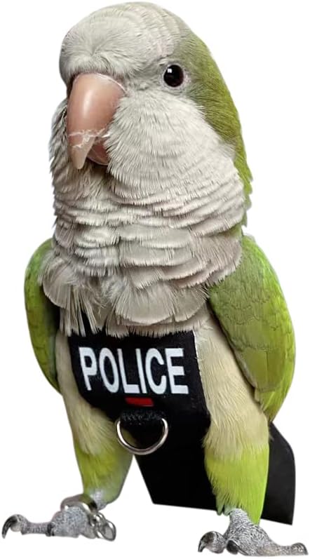 Bird Clothes Parrot Diapers Bird Flight Suits, Reusable Waterproof Diapers pet Bird Supplies