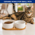 Ceramic Small Dog and Cat Bowls-Set of 2 Pet Dishes with Non-Slip Wood Tray
