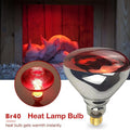 2 Pack 250W Heat Lamp Red Infrared Bulbs Glass Lamp Bulb for Food Service, Brooder Bulb, Chicks, Pet, Bathroom, Light Th