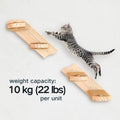 Wall Mounted Cat Shelf, 2 Pack 2 Step Wooden Stairway with Jute Rope, Space-Saving Modular Climbing Ladder for Indoor Ca