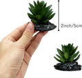 Reptile Artificial Plants Succulent Terrarium Decor Desert Rainforest Plant Lizard Beard Chameleon Gecko Snake Amphibiou