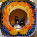 Kitty City Safari Jungle Pop-Up Cat Cube, Collapsible Indoor Cat Hideout & Play Cube with Peekaboo Openings, Easy Storag