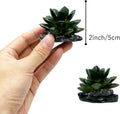 Reptile Artificial Plants Succulent Terrarium Decor Desert Rainforest Plant Lizard Beard Chameleon Gecko Snake Amphibiou