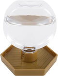 Reptile Water Feeder,Gecko Bearded Dragon Automatic Water Dispenser 12 Oz Amphibians Waterer Dish Terrarium Bowls for Li