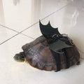 Turtle Harness and Leash with Wings Tortoise Leash Lizard Leash Tortoise Harness Strap Small Animal Adjustable Collar Le