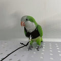 Bird Flight Harness Vest, Parrot Flight Suit with Leash for Parakeets Cockatiels Conures Budgies, Bird Flying Clothes wi