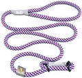 Regular/Aqua/Purple