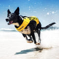 EzyDog DFD X2 Dog Life Jacket, Grab Handle, Reflective Trim - Large