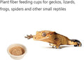 Paper Gecko Feeding Cups Reptiles Food and Water Bowls Feeder 0.5oz Small Cup Feeding Ledge Replacement Cups for Crested
