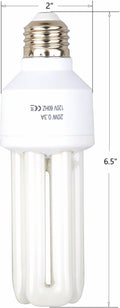 Sundew 2.4% UVB Bird Light Bulb - High CRI 85.6 Full Spectrum UVA UVB Lamp - 20W E26 for Parrots, Cockatiels, Conures, African Greys, Canaries & All Pet Birds, Improve Mood & Feather Health