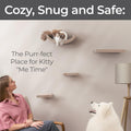 Wall Mounted Cat Shelves (Set of 4) by Pryde Pets - 100% Sustainable PET Felt Feline Enrichment Climber Furniture for Small & Large Indoor Cats, Modern Climbing Gym Jungle Design (Oatmeal)